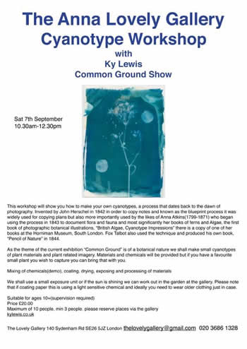 Anna Lovely Gallery course